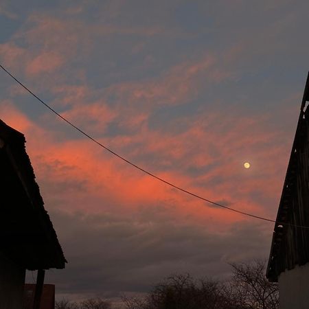 Отель Casa Leny Tohanu Nou Экстерьер фото